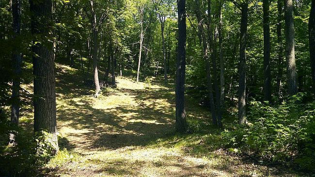 Image of Block One Lot 3 Hidden Oaks