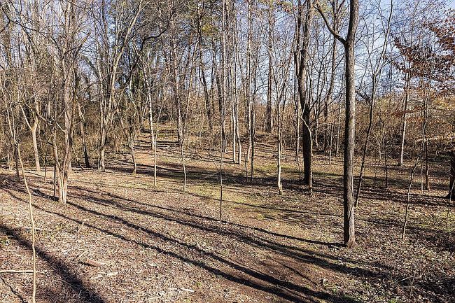 Image of 3118 Wildwood Rd
