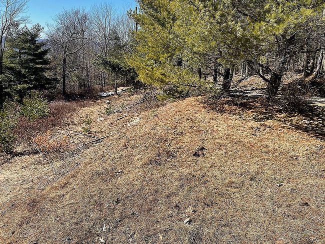 Image of 110 Mount Meenagha Rd