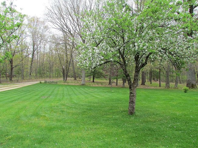 Photo of 2294 Bialik Rd, Manistee, MI