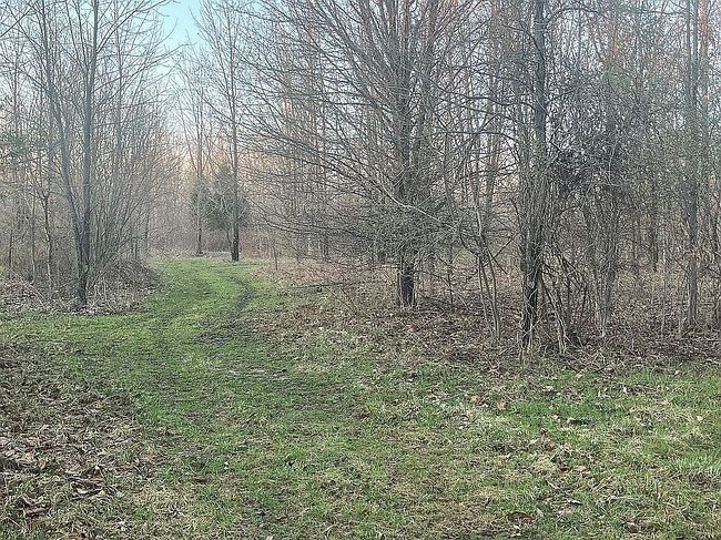 Image of 101 Doerner Rd