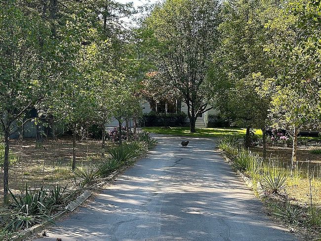 Photo of 2150 7th Ave, Hammonton, NJ
