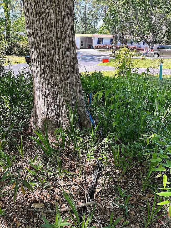 Image of 8572 Nw 39th Cir