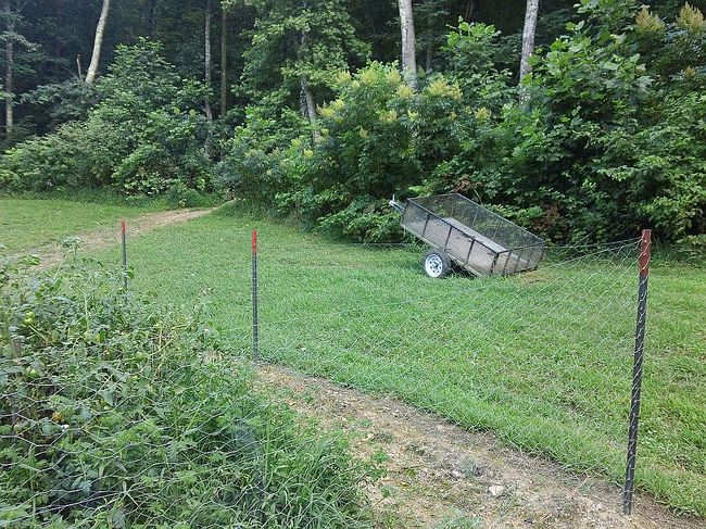 Image of 980 Wolf Run Rd