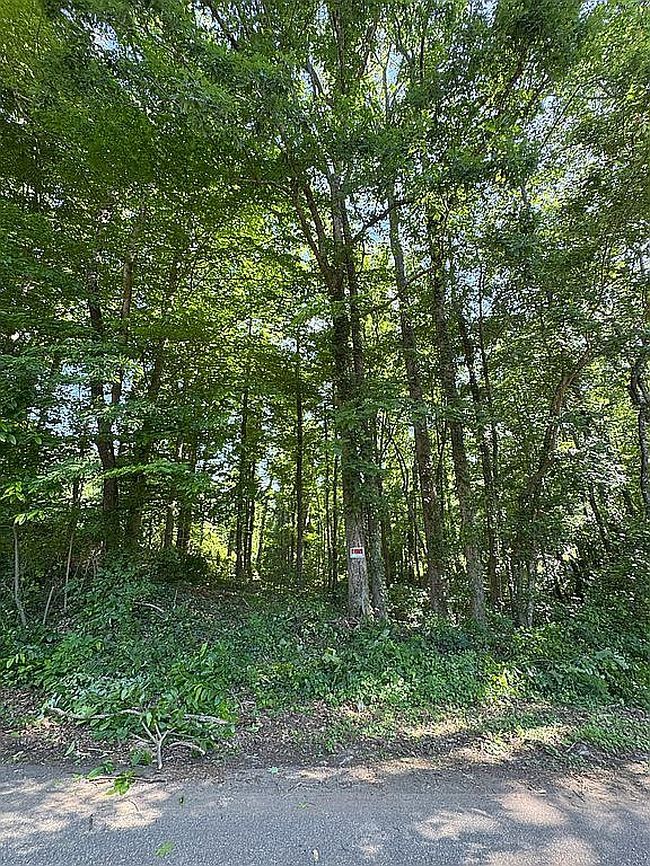 Photo of 205 Satterfield Dr, Greenville, SC