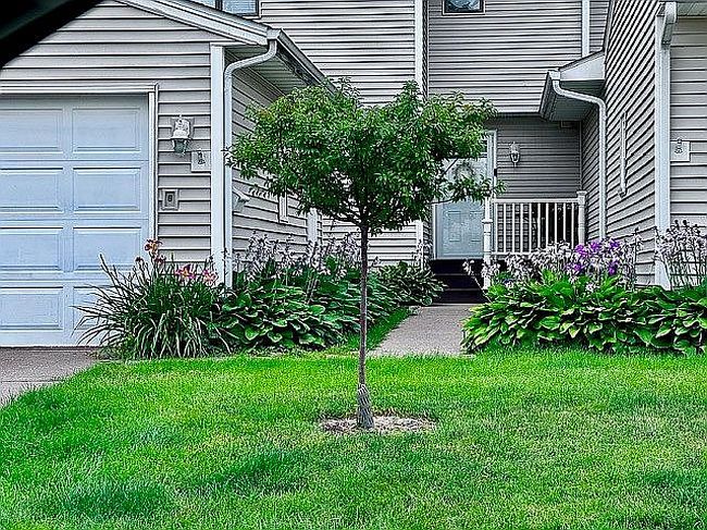 Image of 3017 Willowwood Dr
