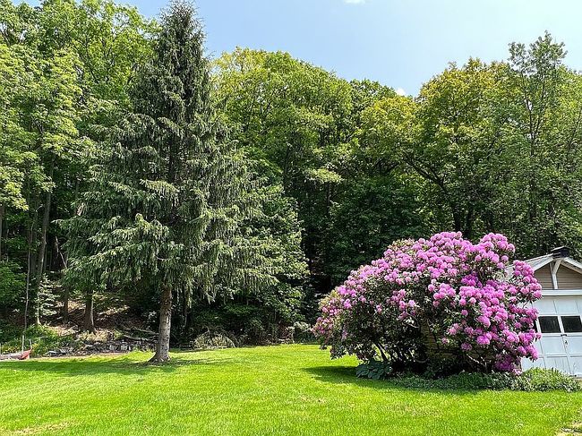 Photo of 1165 Main St, Vestal, NY