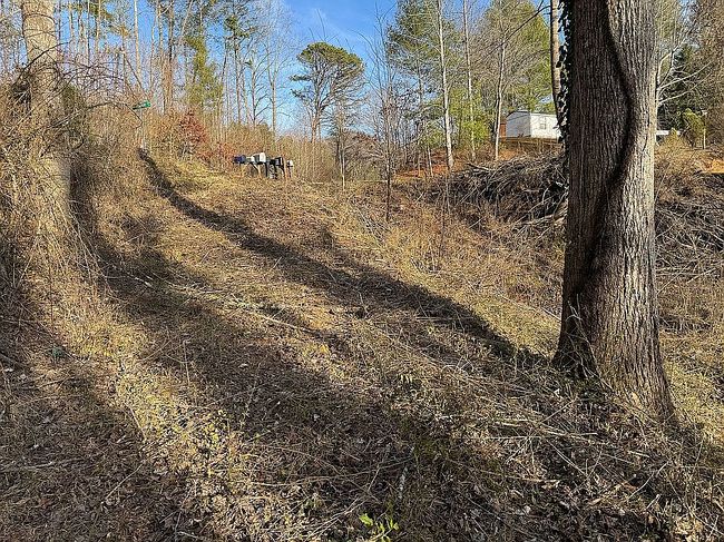 Image of 165 Chestnut Cove Rd
