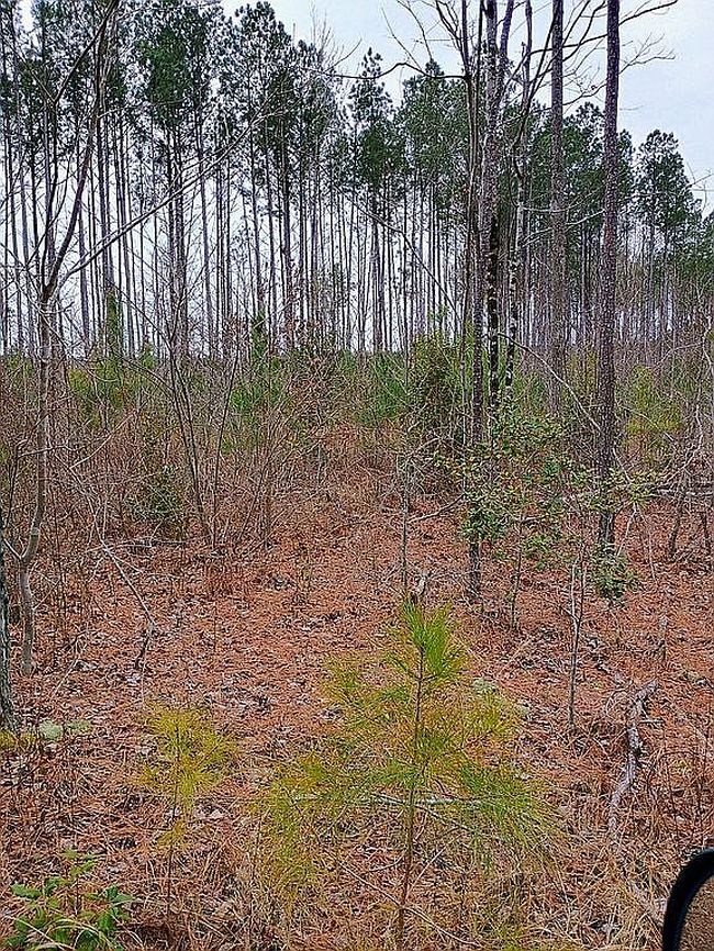 Image of Baltimore Church Rd