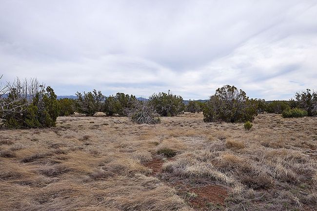 Photo of 34 County Road 8010, Concho, AZ