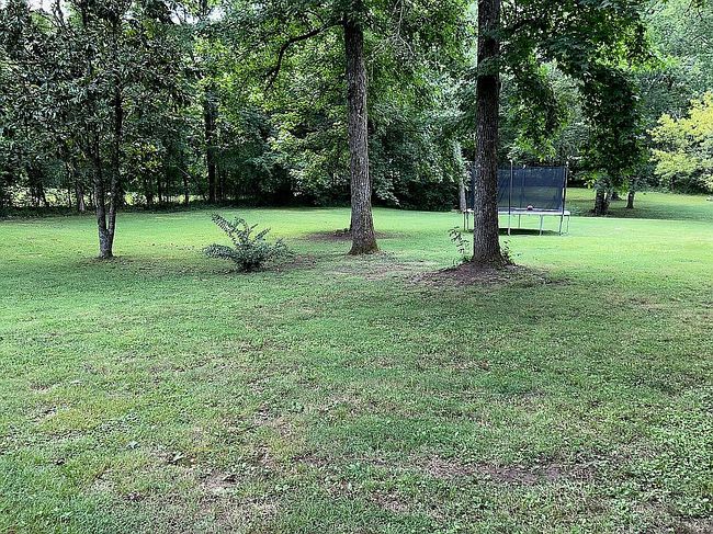 Photo of 47 Alan St, Laceys Spring, AL