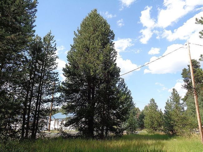 Photo of 0 Main St, Crescent, OR