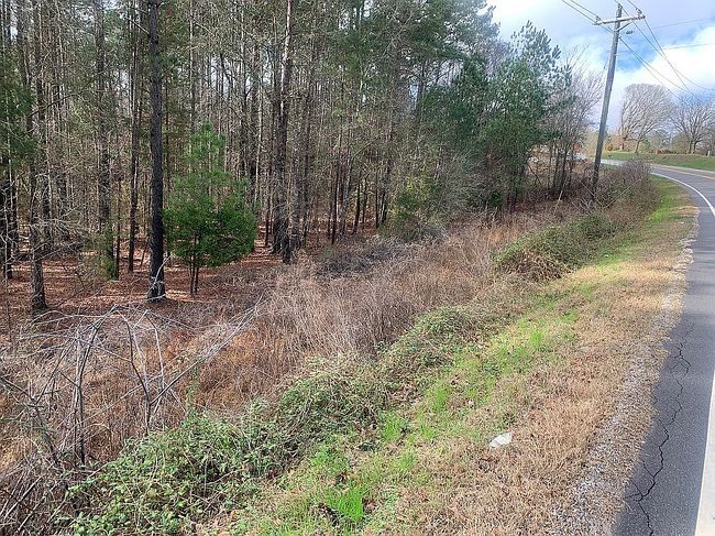 Image of Highway 205 Hoke Rd