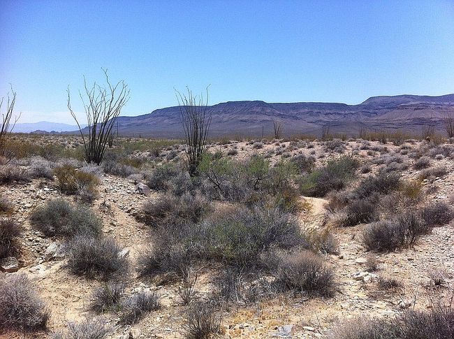 Image of Lot 74 Roosevelt Road