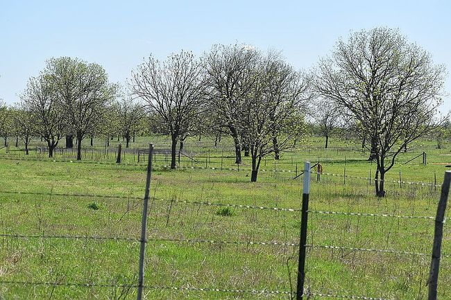 Preview of property located at 10265 E 1990th Rd