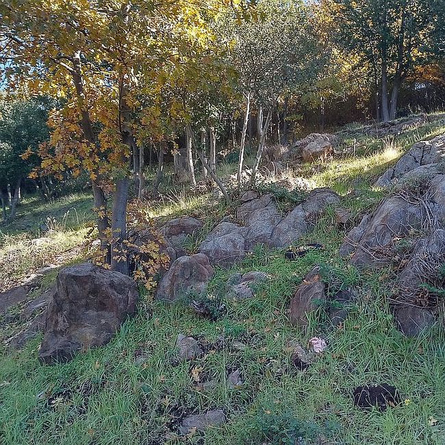 Photo of 35260 Twin Oaks Rd, Julian, CA