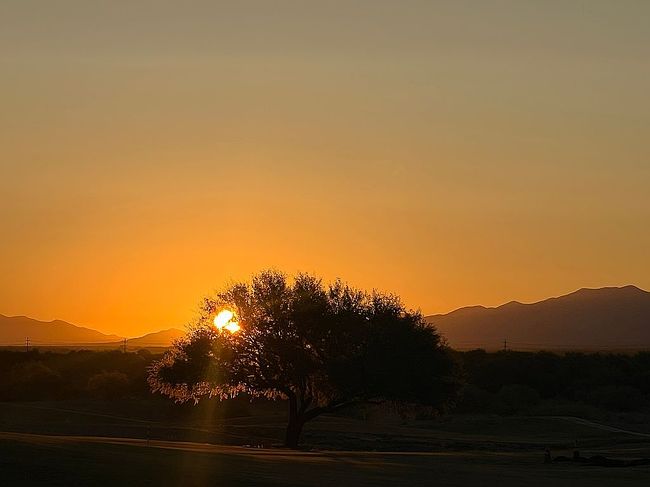 Photo of 3865 S Camino Del Golfista, Green Valley, AZ