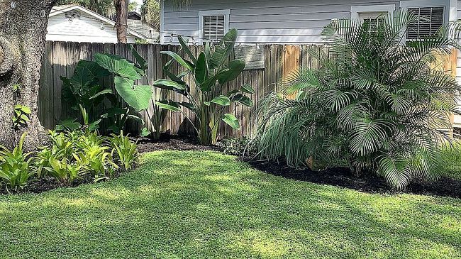 Photo of 2914 N Massachusetts Ave, Tampa, FL