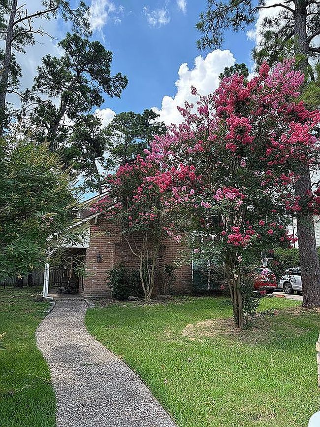 Photo of 12115 Fawnview Dr, Houston, TX