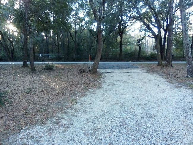 Additional photo 3 of property located at 12910 County Road 49 Lot 2