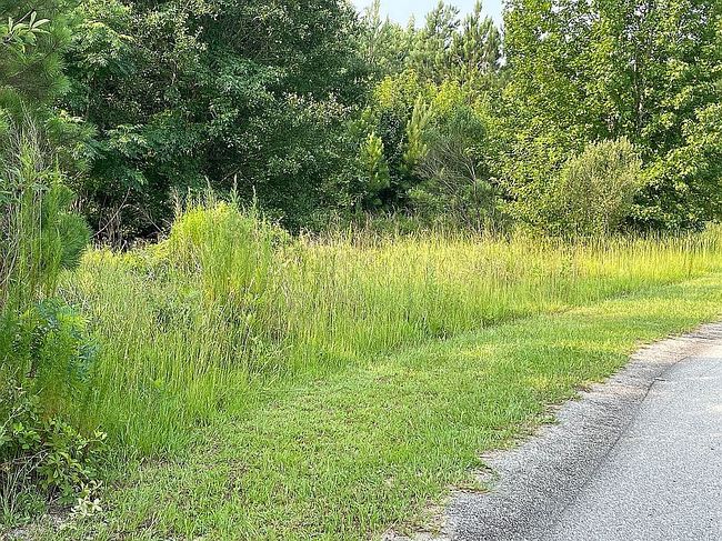 Image of 99 Jaylin Oaks Dr