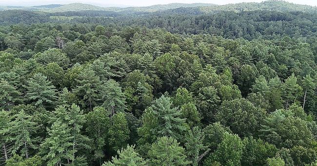 Photo of 211 Bartox Dr, Ellijay, GA