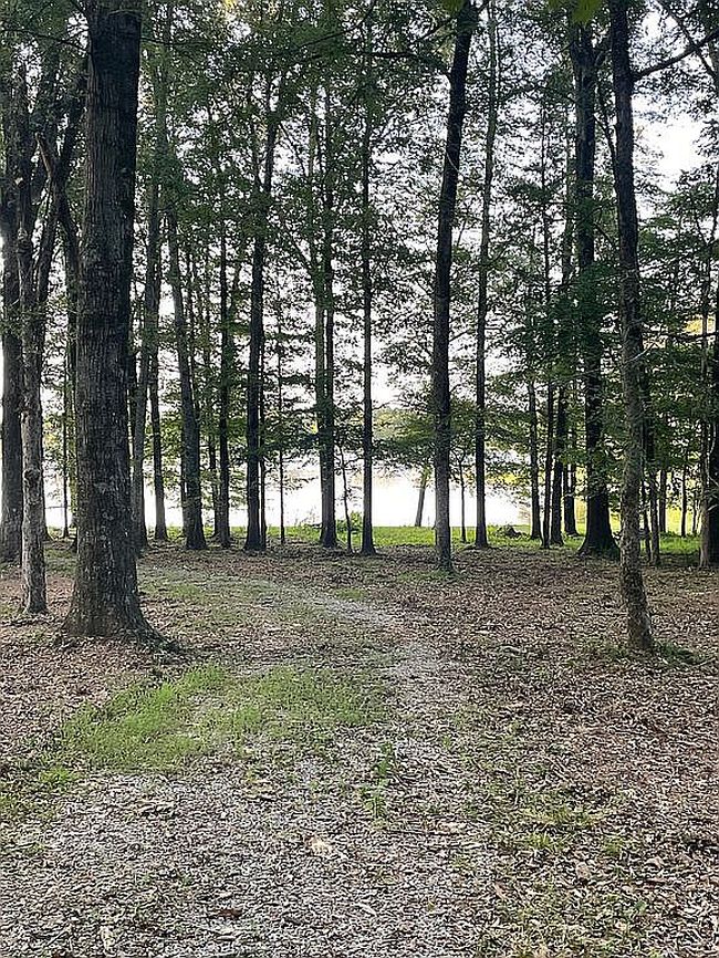 Photo of 190 Sanctuary Cir #6, Canton, MS
