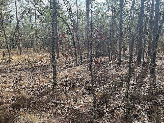 Image of Sw Buena Vista Rd