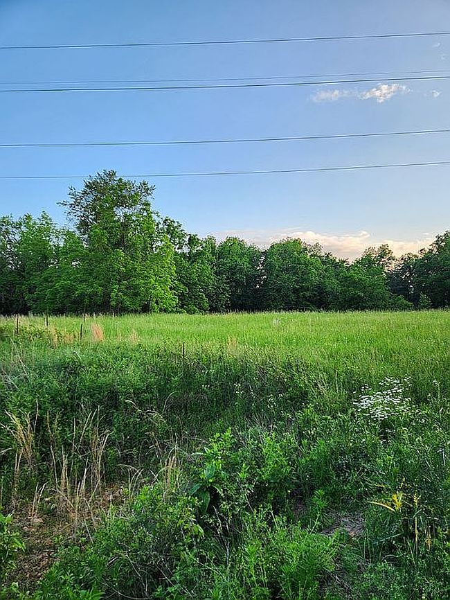 Photo of 12333 Nettle Dr, Neosho, MO