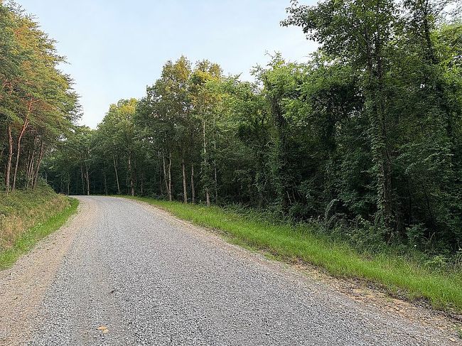 Photo of 0 Staples Hollow Rd Se, Falkville, AL