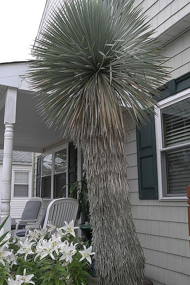Photo of 32 N Manor Ave, Longport, NJ
