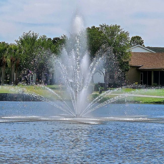 Photo of 1145 Rambling Vine Ct, New Port Richey, FL