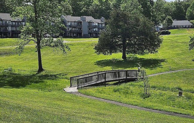 Image of 711 Lake Vista Dr