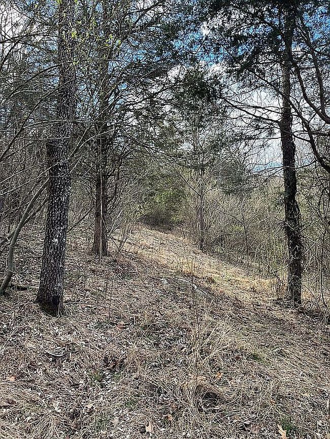 Image of 1536 Rankin Mill Rd