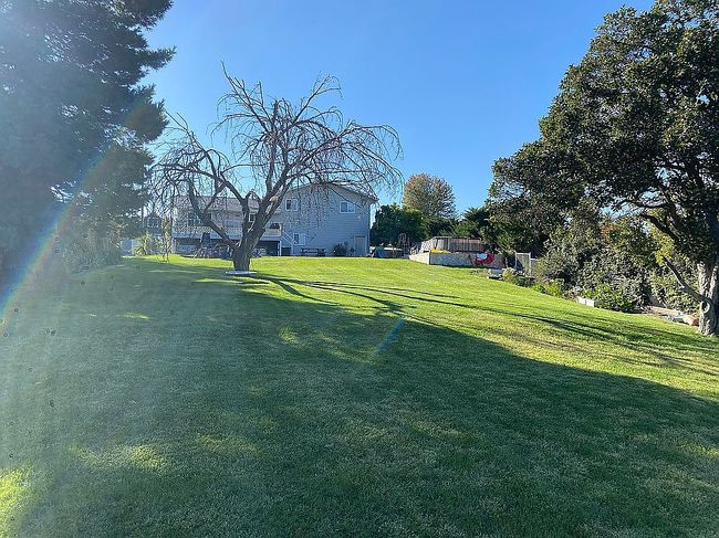 Image of 2113 Schaefer Dr