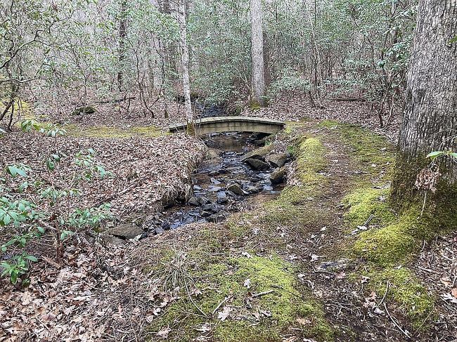 Image of 402 Byrds Creek Cv