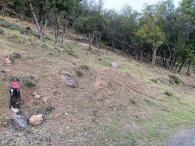Photo of 5369 Monterey Pl, Kelseyville, CA