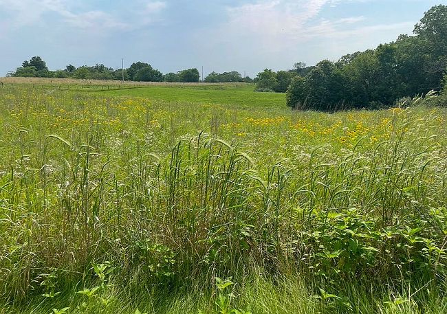 Photo of 2257 Burt Rd, West Point, IA