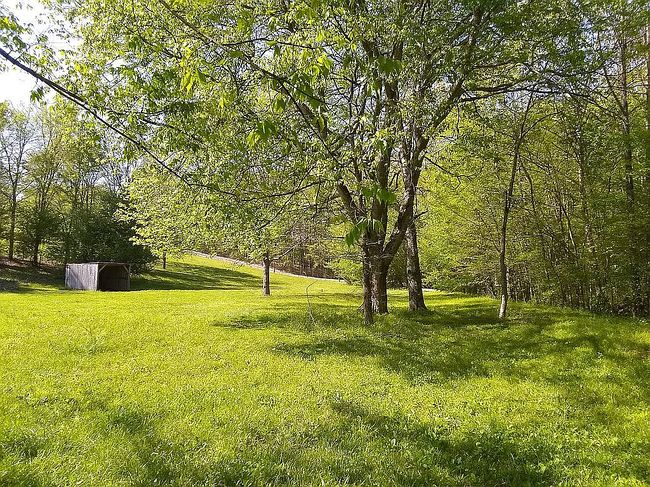 Image of 1000 County Road 273