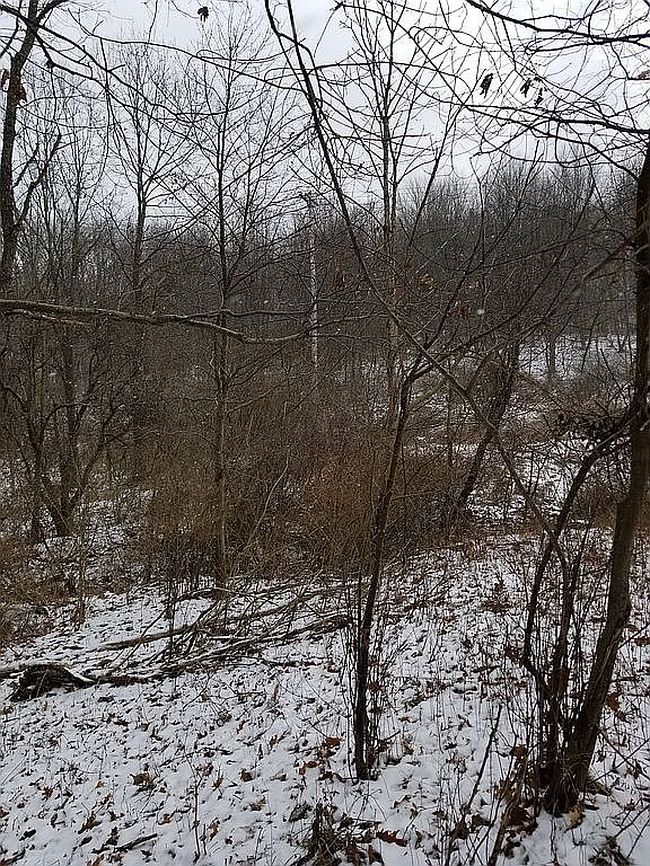Image of 3011 Wexford Rd
