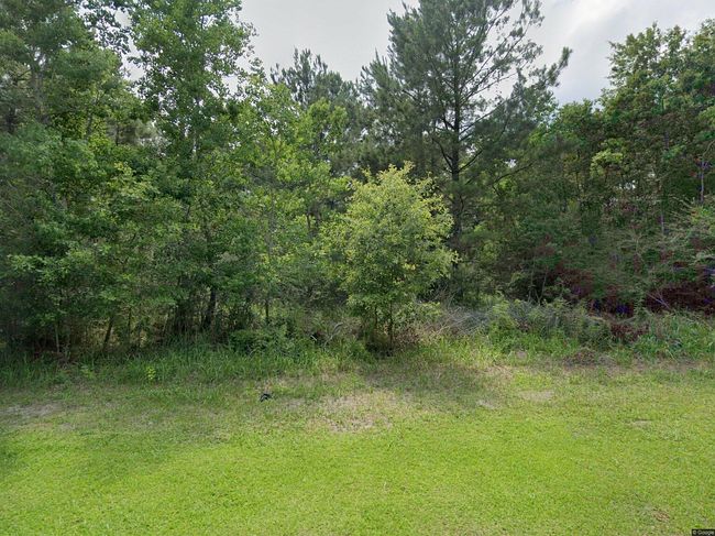 Photo of 10802 Fontaine Dr, Theodore, AL