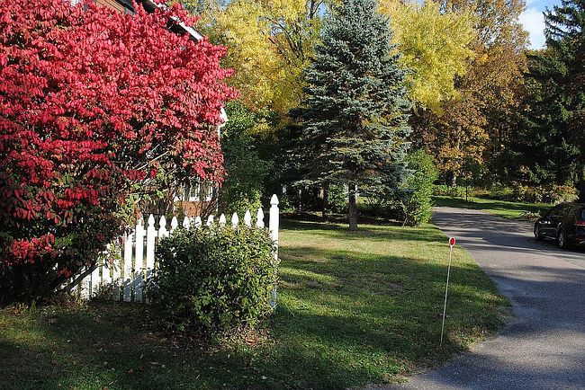 Image of 44 Perrotta Pl