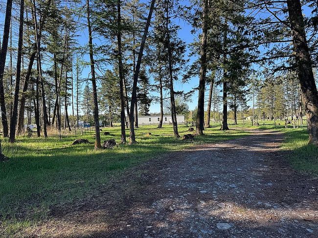 Image of 360 Trap Rd
