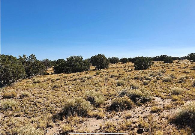 Image of 1769 Saint Johns Rd Lot 1