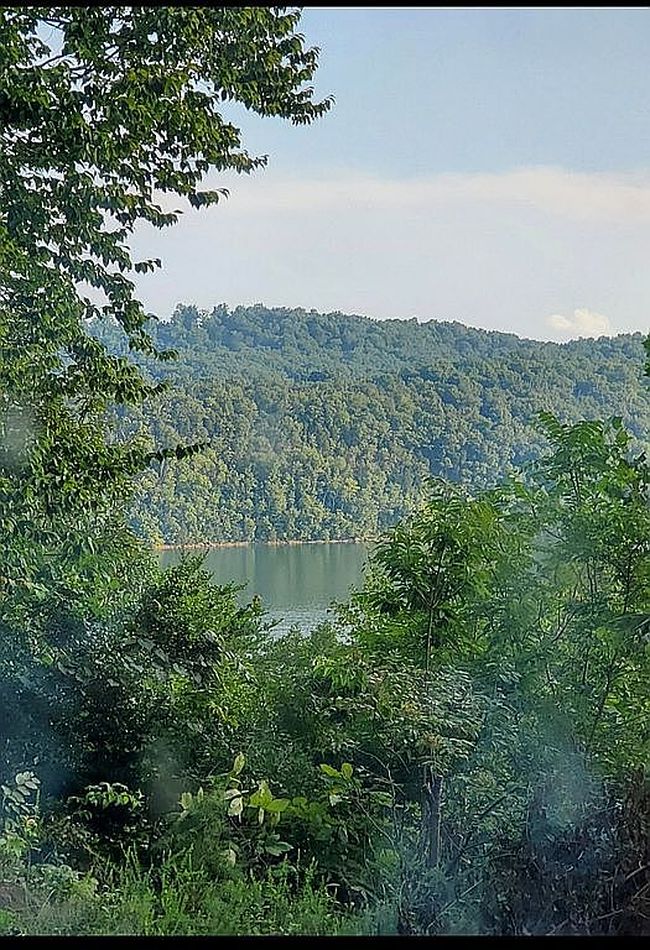 Photo of 224 Bass Point, Sharps Chapel, TN
