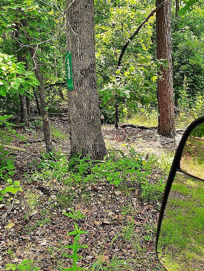 Photo of 498 Peaceful Ln, Yellville, AR