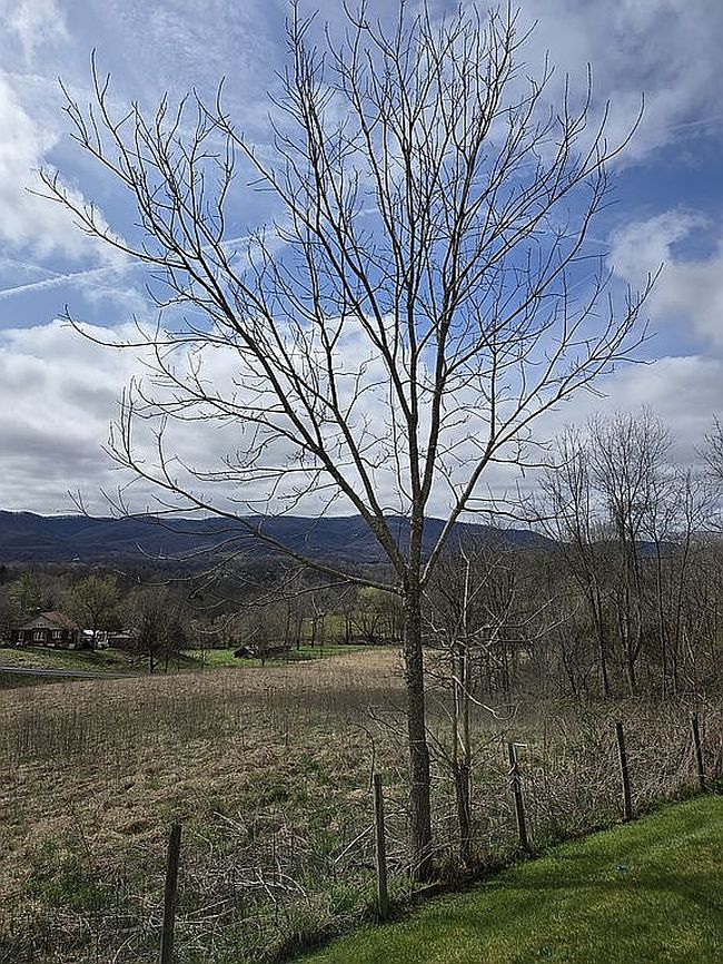 Photo of 21080 Jeb Stuart Hwy, Damascus, VA