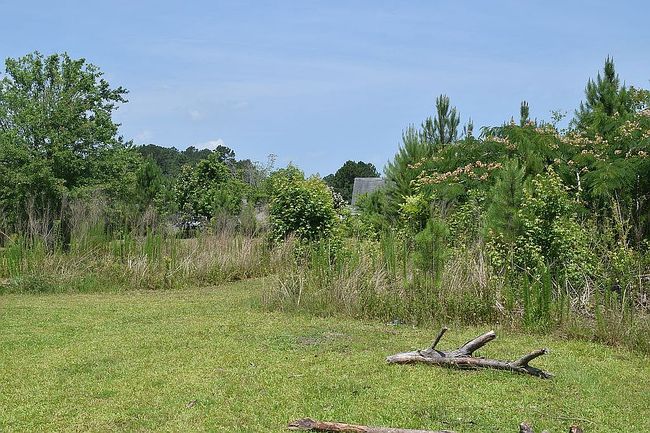 Image of 564 Emmett Ln