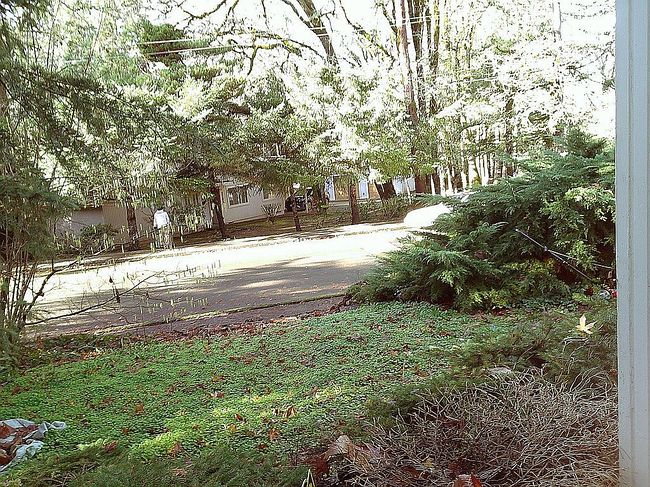Photo of 3210 Sumac Dr S, Salem, OR