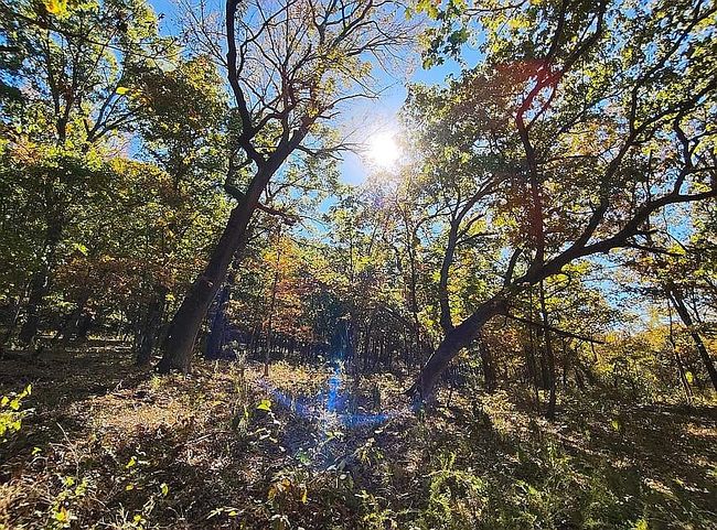Image of 30134 S 595th Rd